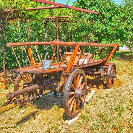 Διαμέρισμα Kapelica 870 *